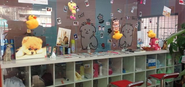 派多格顽皮精灵店0