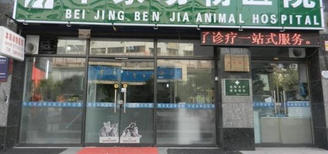 北京本家动物医院0