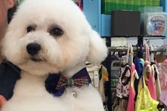 顽友宠物店1