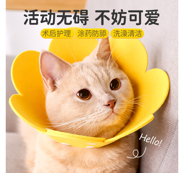 伊丽莎白圈猫绝育项圈猫咪头套防咬围脖伊利莎白圈狗脖圈宠物用品（太阳花S）