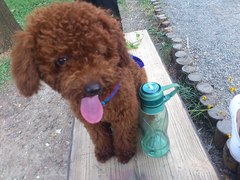 ：User_126783家的宝贝，喜欢就点个赞喽_1417092073
