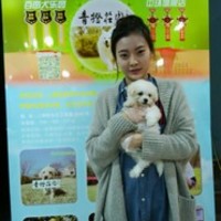 青橙庄园宠物专售旗舰店(上海健康狗基地) 封面小图