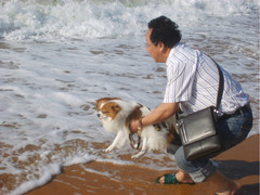 ：把你丢进去