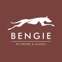 Bengie Pet Resort & School 封面小图