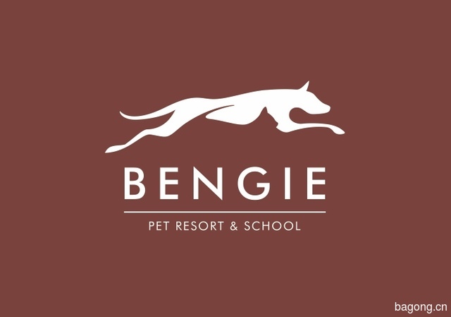 Bengie Pet Resort & School 封面大图