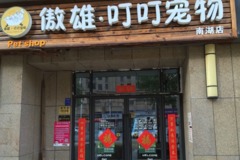 傲雄叮叮宠物连锁(南湖店)0