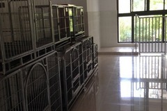 派多格宠物(东靖路店)2