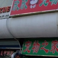 欣欣宠物店 封面小图