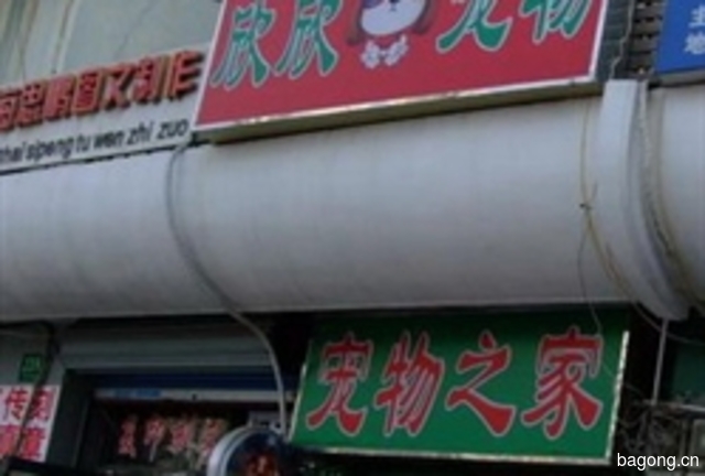 欣欣宠物店 封面大图