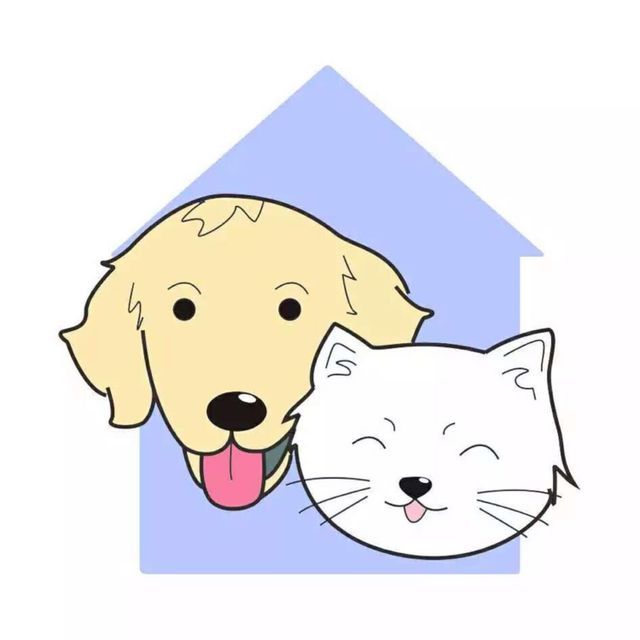 DuDu宠舍 封面大图