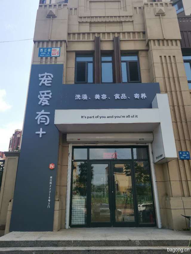 宠爱有+ 封面大图