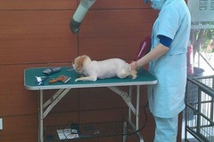 杨家宠物诊所环境1