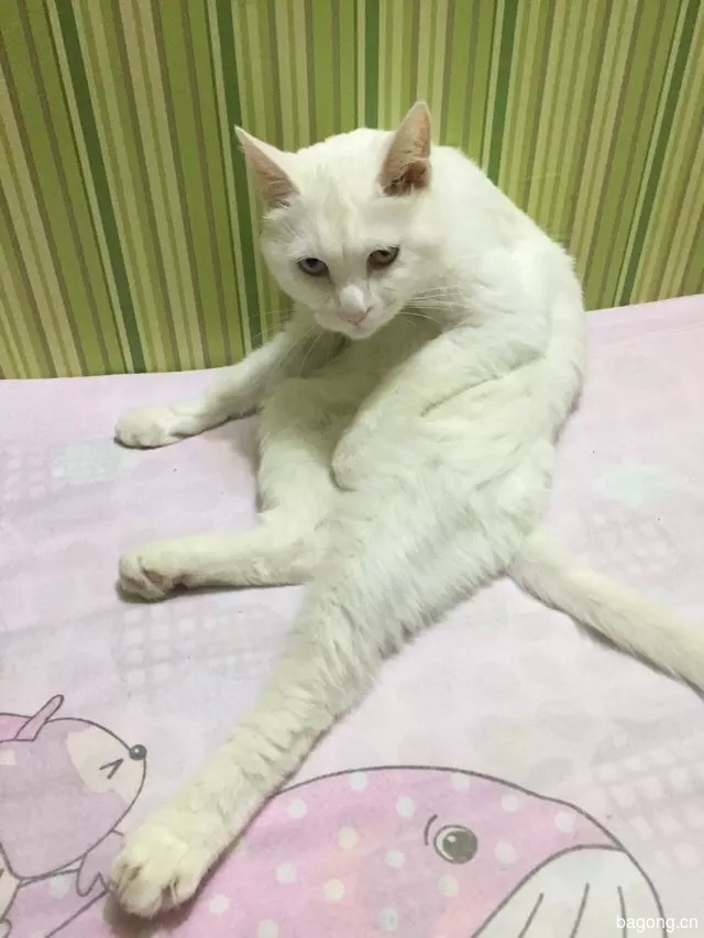 猥琐男😄