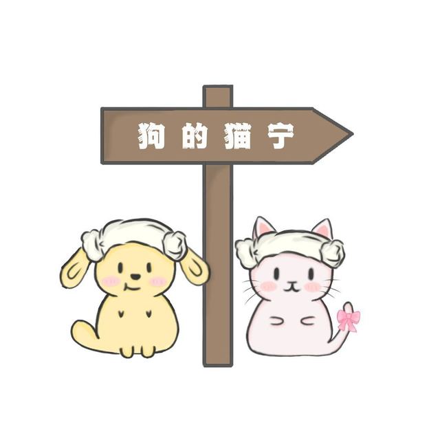 狗的猫宁宠物生活馆  封面大图