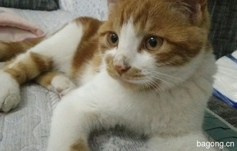 麻麻你在哪2