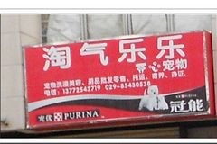 淘气乐乐0