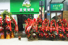 圣宠宠物店（常州新北万达店）1