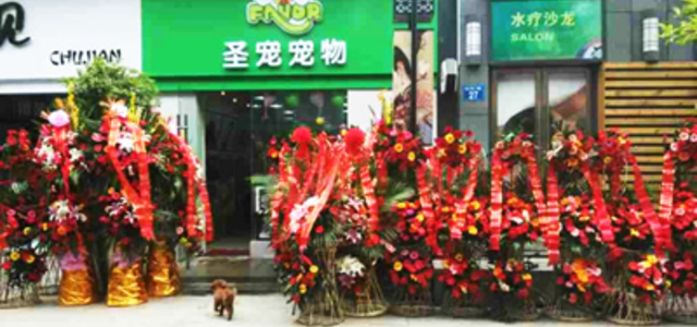 圣宠宠物店（常州新北万达店）1