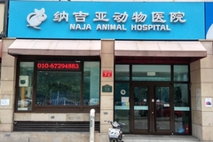 北京纳吉亚乐城动物医院环境0