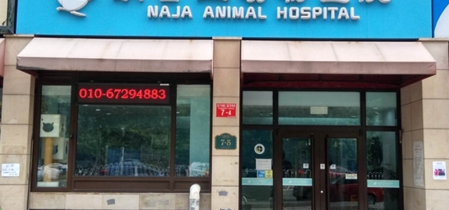 北京纳吉亚乐城动物医院0