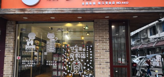 派多格宠物浙江青田店1