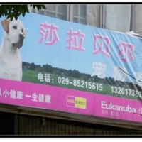 莎拉贝尔宠物店 封面小图