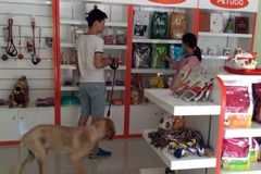 派多格宠物(天朗大兴郡店)0