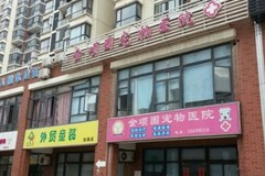 金项圈宠物医院环境1
