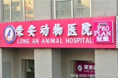北京荣安动物医院环境1