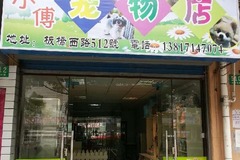 小傅宠物店1