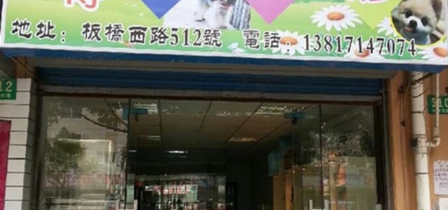 小傅宠物店1