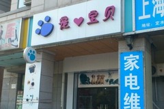 光有宠物2