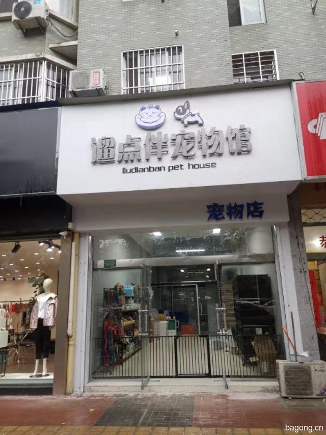 遛点伴宠物店 封面大图