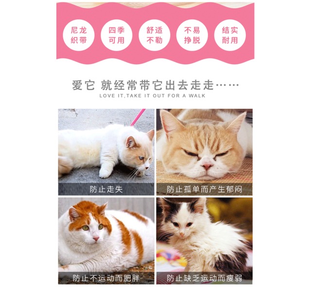 【优莱仕】猫胸背拉带套装夜光熊猫图案 