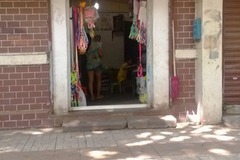 鑫鑫宠物店1