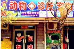 东日宠物诊所环境0