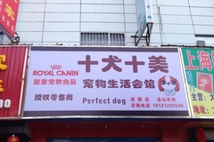 十犬十美宠物店3