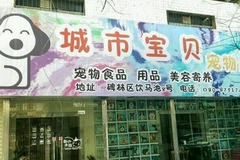 城市宝贝宠物店0