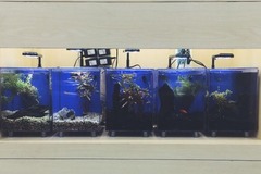 宠物世家(联洋店)6