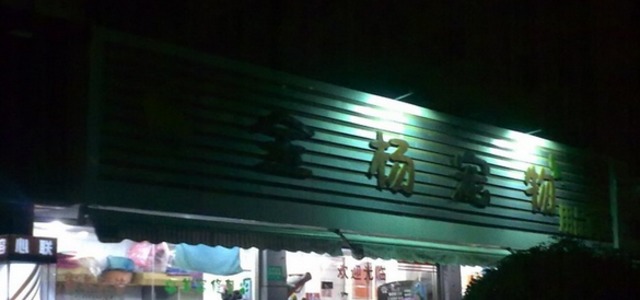 金杨宠物用品商店2