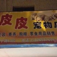 邬桥皮皮宠物店 封面小图