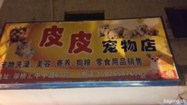 邬桥皮皮宠物店 封面大图