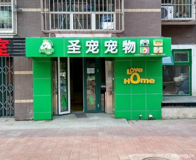 圣宠宠物（孙河康营店） 封面大图