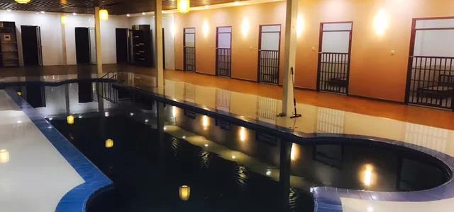 凯姆宠物会所2
