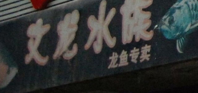 文龙水族0