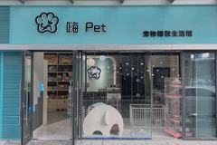 嗨 Pet0