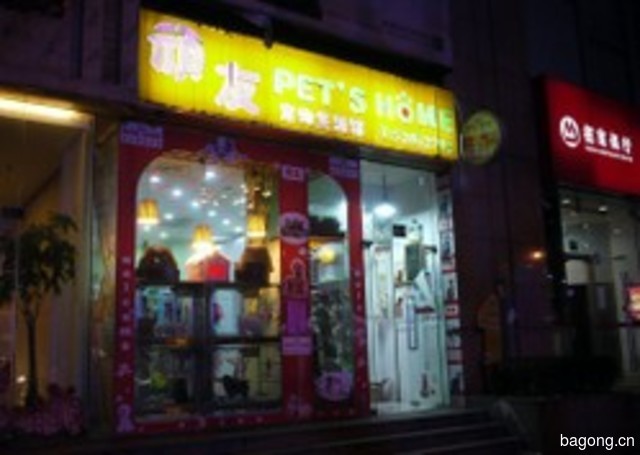 顽友宠物店 封面大图
