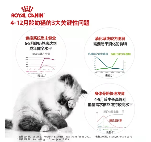 皇家 幼猫全价猫粮（12月龄以下 K36）2kg