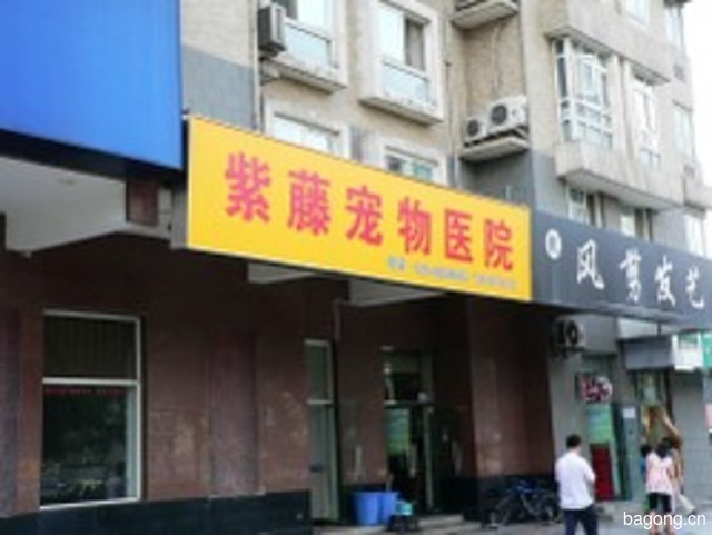 紫藤宠物医院 封面大图