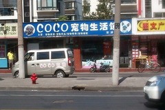 coco宠物生活馆0